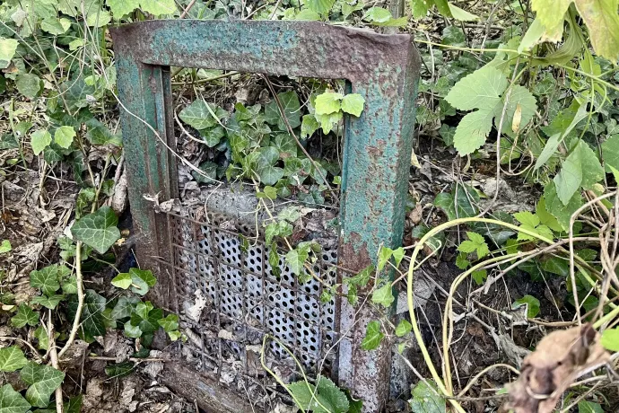 Hat éve nem távozott víz a leeresztőn – Fotó: Kovács Pál / Telex