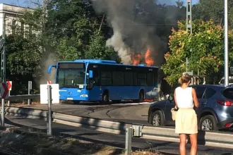 Vitézy: A BKV a Fidesz miatt nem tudta lecserélni a kigyulladt buszokat
