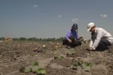 Arte: Az orosz drónok már a földeken dolgozó munkásokat is támadják Herszonban