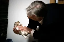Macskaasztallal és oroszlánbajusszal tüzeli a DPK-tagokat hírlevelében Orbán Viktor