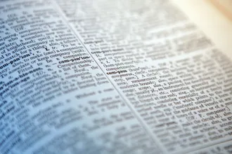 A skibidi és a delulu kifejezés is bekerült a Cambridge Dictionarybe