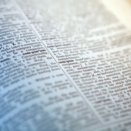 A skibidi és a delulu kifejezés is bekerült a Cambridge Dictionarybe