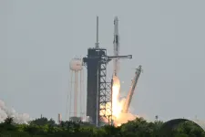 NYT: A SpaceX nem nagyon fizet adót, és nem is nagyon akar