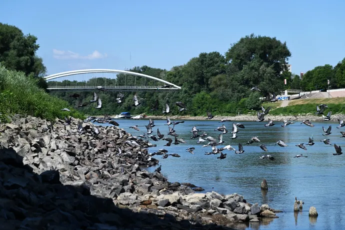 Rekordalacsony a Tisza vízállása, a Balaton és a Velencei-tó vízszintje is alacsony