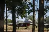 Két hete vagy két hónapja? – Sok a megválaszolandó kérdés az ellopott MiG–29 alkatrészekkel kapcsolatban