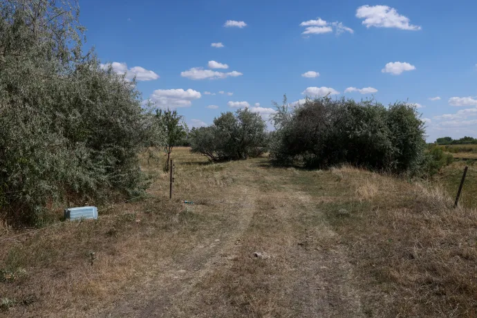 Fotó: Melegh Noémi Napsugár / Telex