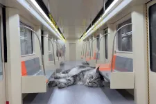 Miniatűr macskametrót épített az állatainak egy kínai youtuber