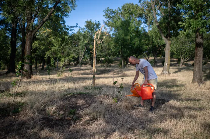 Negyvenfokos hőhullámok, pusztító szárazság, és ez még csak a kezdet
