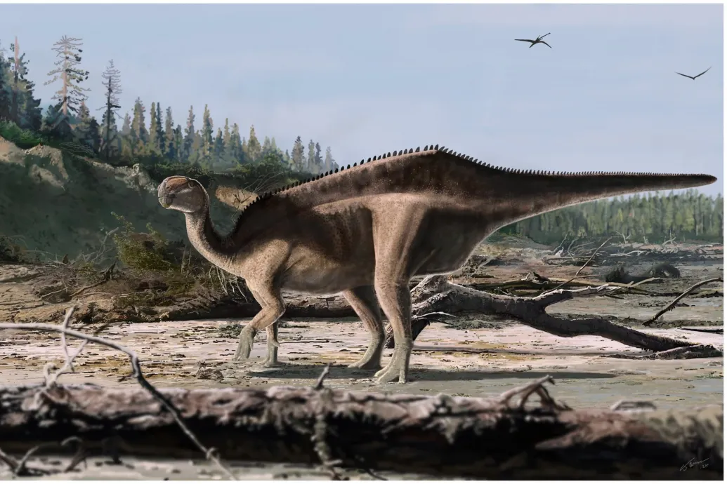 Hátára pakolt vitorlával hódíthatott egy most azonosított dinoszauruszfaj