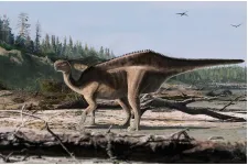 Hátára pakolt vitorlával hódíthatott egy most azonosított dinoszauruszfaj