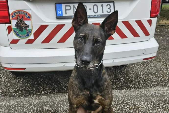 Gizmó elől nem volt menekvés, az abádszalóki tolvaj nyomára vezethette a rendőröket