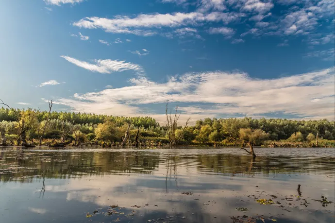 Most egy nagyobbacska budapesti lakás árából vehet egy 26 hektáros Tisza-holtágat tanyával és erdővel