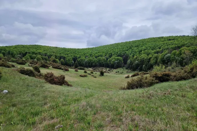 Hétfő hajnalban -10,4 fokot mértek a Bükkben