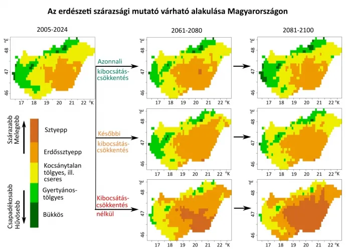 Az erdőterületek várható átalakulása különböző klímaforgatókönyveknél – Forrás: Másfélfok