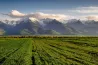 Natura 2000: a pénz volt az úr a természetvédelmi projekteknél, a kezelési tervek irreleváns adathalmazok lettek