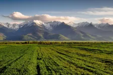 Natura 2000: a pénz volt az úr a természetvédelmi projekteknél, a kezelési tervek irreleváns adathalmazok lettek