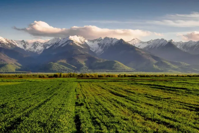 Natura 2000: a pénz volt az úr a természetvédelmi projekteknél, a kezelési tervek irreleváns adathalmazok lettek