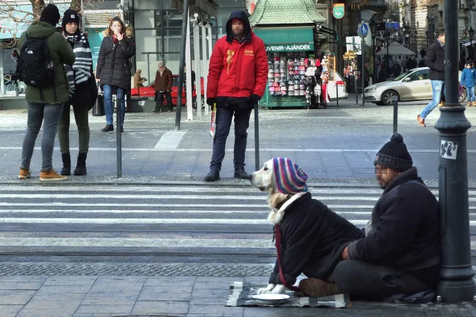 A kormány a DK fővárosi képviselőjének javaslatára tiltotta be az állatokkal való koldulást