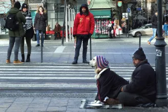A kormány a DK fővárosi képviselőjének javaslatára tiltotta be az állatokkal való koldulást