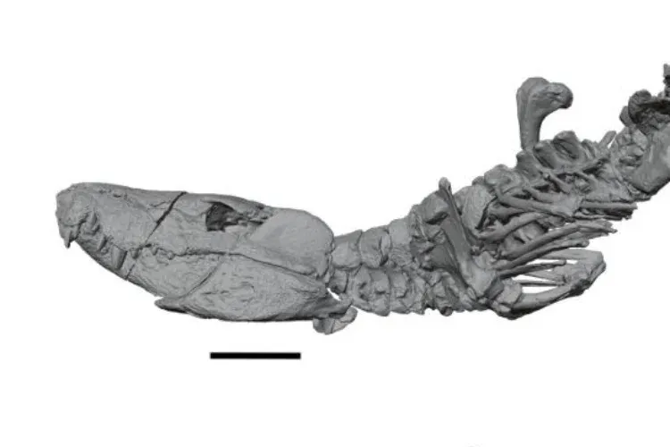 Dinoszauruszokat ehetett a mai krokodilok ősi rokona
