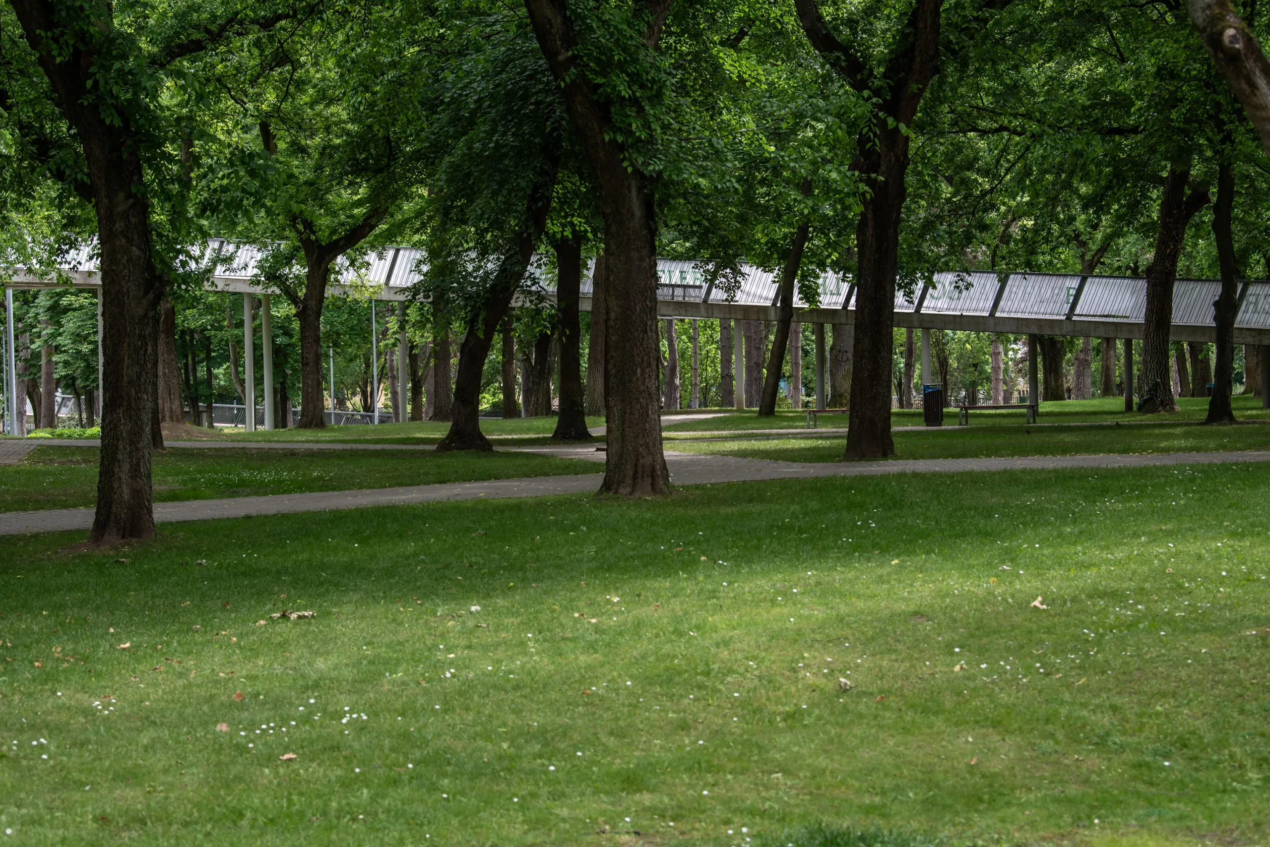 Fotó: Bődey János / Telex