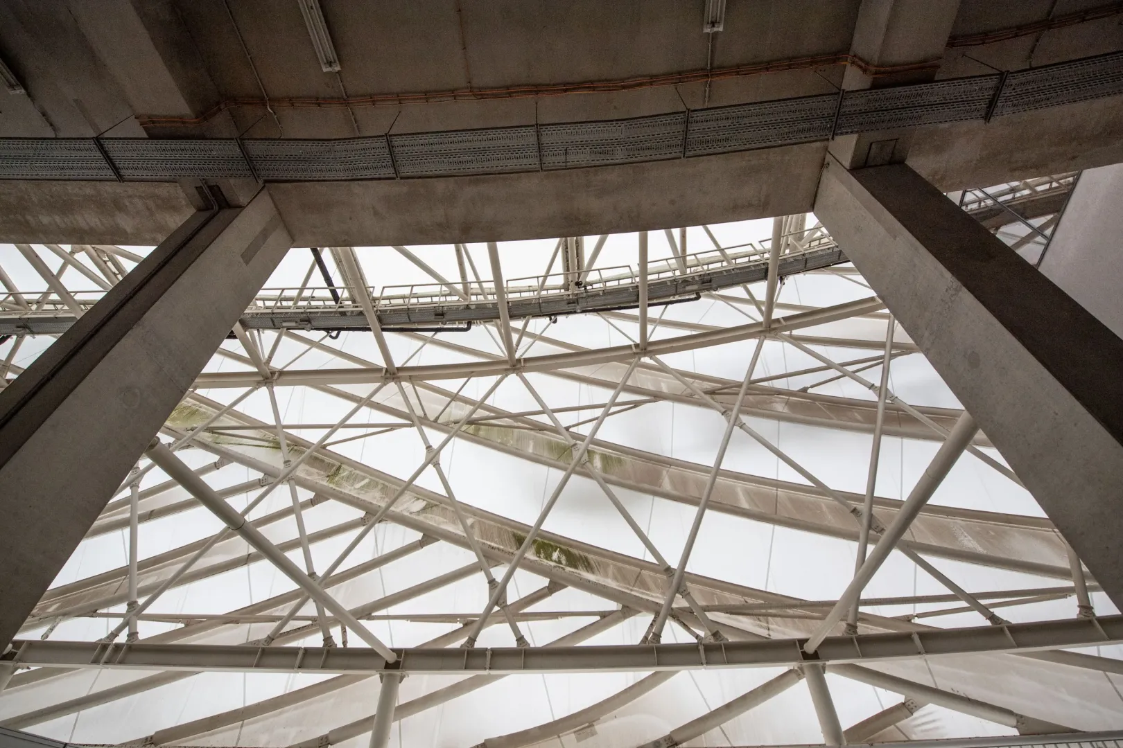 Fotó: Bődey János / Telex