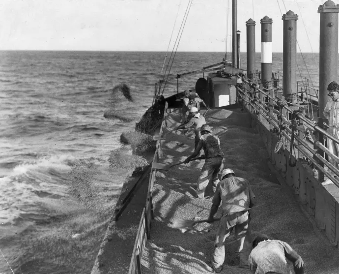 A kávét nem csak elégették, különböző kreatív módokon semmisítették meg, a képen éppen a tengerbe lapátolják – Fotó: Ullstein Bild / Getty Images