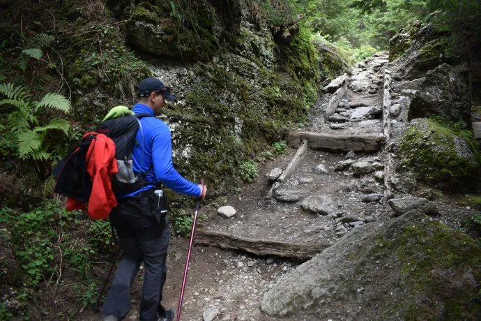 A padokkal, asztalokkal ellátott kilátónál a távolban Kodlea és a Kotla tűnik fel – Fotó: Tőkés Hunor / Transtelex