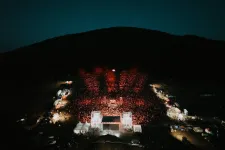 Az ingyenes Bagossy-koncert után ingyenes István, a királlyal gyűjtöttek rekordtömeget Csíksomlyón