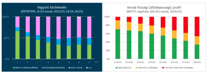 Forrás: BM / Netfit