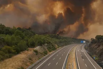 Arte: How can Europe get wildfires under control?
