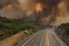 Arte: How can Europe get wildfires under control?