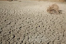 Kinek fáj a klímaváltozás? A vízhiány ára a gyártósortól a pénztárig