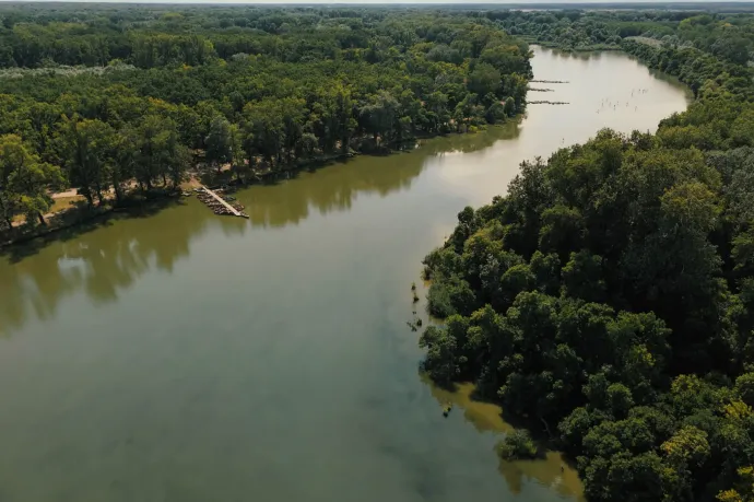 A Tisza már olyan mélyre vágta be magát, hogy megcsapolja a talajvizet