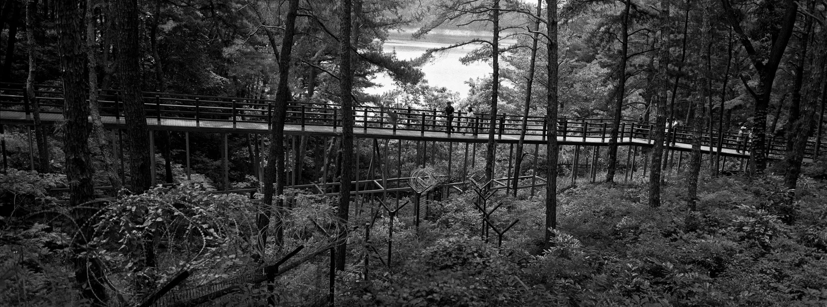 Csongnamde Nemzeti Park, Észak-Cshungcshong tartomány, Dél-Korea, 2023 – Fotó: Molnár Zoltán
