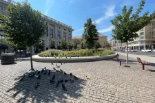 Városi túrák: a Blaha Lujza téri kiserdő