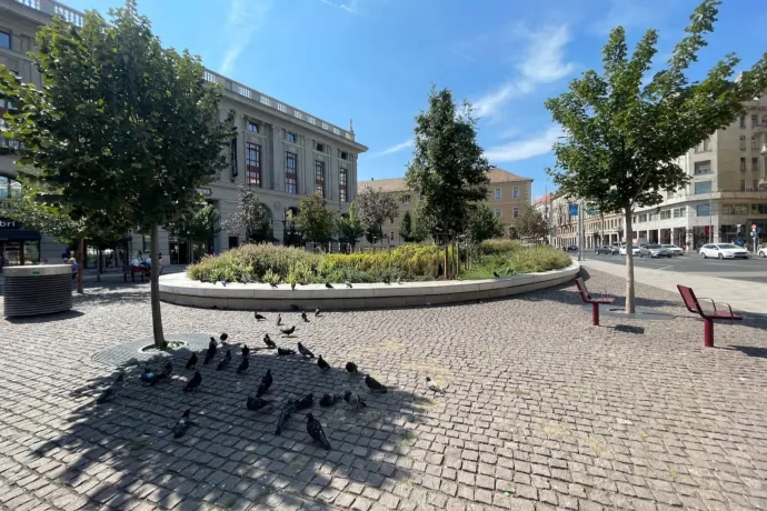 Városi túrák: a Blaha Lujza téri kiserdő