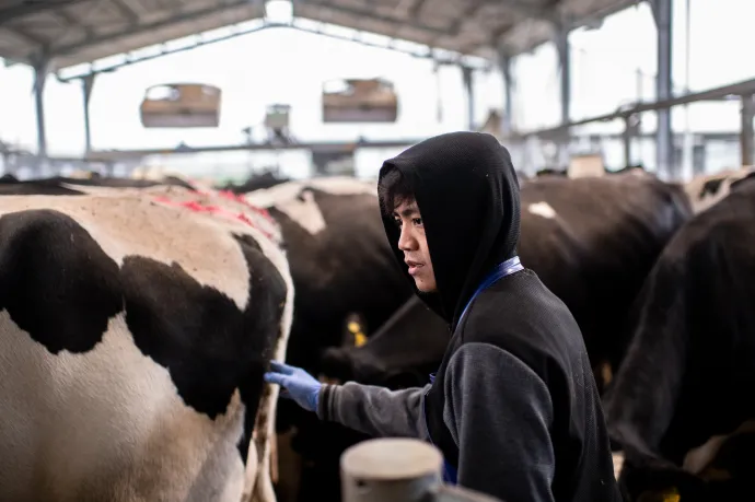A kisvállalkozásoknak fáj a legjobban, hogy a kormány szigorított a vendégmunkások szabályozásán