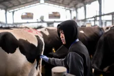 A kisvállalkozásoknak fáj a legjobban, hogy a kormány szigorított a vendégmunkások szabályozásán
