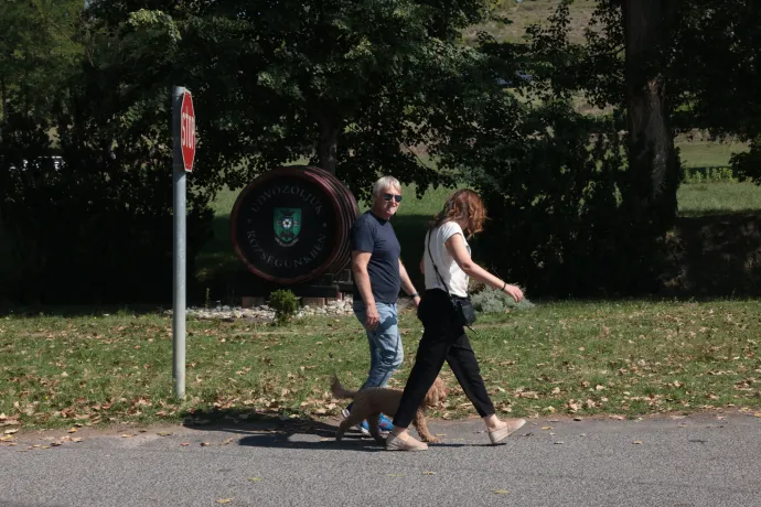 Herendi Gábor filmrendező Kötcsén – Fotó: Hevesi-Szabó Lujza / Telex