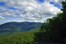 Nagyon begombázott négy amerikai huszonéves túrázó, eltévedtek, mentőcsapatnak kellett lehozni őket a hegyről