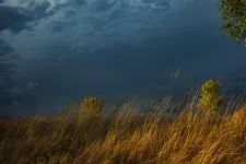Elsőfokú árvízvédelmi készültség és viharriadó van öt erdélyi megyében