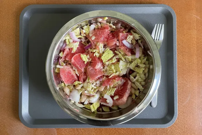 Vérnarancsos édeskömény-saláta, Buddha Bowl és káposztatekercs – Fotó: Világi Máté / Telex