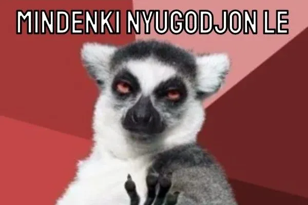 Mindenki nyugodjon le, Takács Péter szerint újra jó a víz Fehérváron