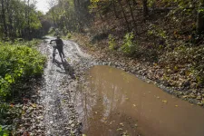 Olyan idő lesz a héten, amilyennek júniusban kellett volna