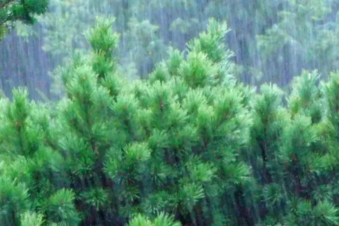 Kiadós csapadék jön