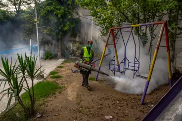 Mi történne a Földdel, ha sikerülne kiirtani a szúnyogokat?