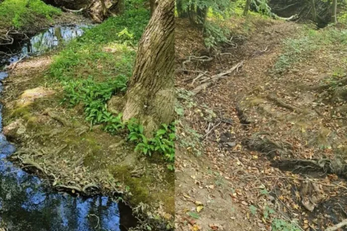 Segítsen megtalálni az eltűnő vizeket