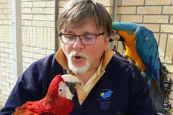 A volt győri polgármester szerint nem a politikai kapcsolatai miatt kapott ötmillió forint állami támogatást a felesége Papagájmentő Alapítványa