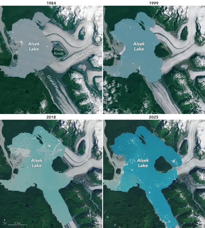 Az Alsek gleccser olvadása 1984 és 2025 között, műholdképeken. Az Alsek tó bal partján ülő kisebb zöld terület a Gateway Knob – Fotó: NASA Earth Observatory